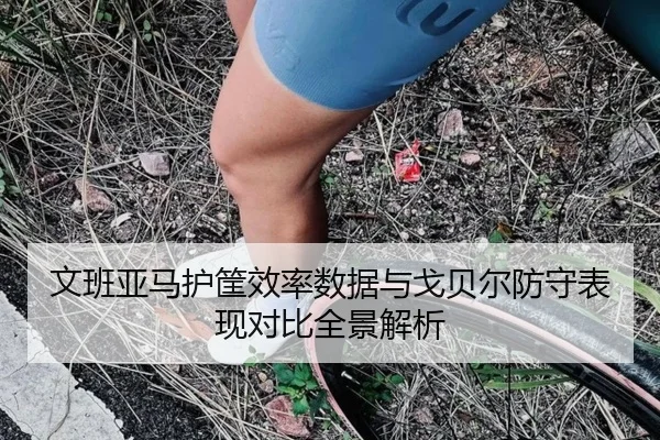 文班亚马护筐效率数据与戈贝尔防守表现对比全景解析 | leyu