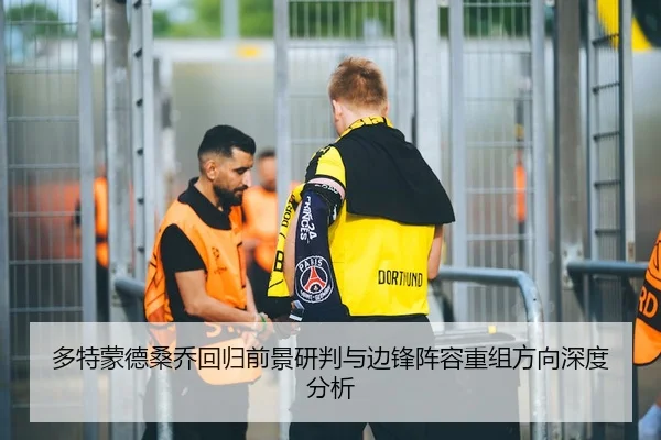 多特蒙德桑乔回归前景研判与边锋阵容重组方向深度分析 | leyu