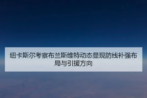 纽卡斯尔考察布兰斯维特动态显现防线补强布局与引援方向 | leyu